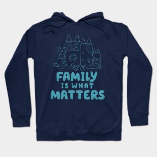 Family is What Matters Hoodie